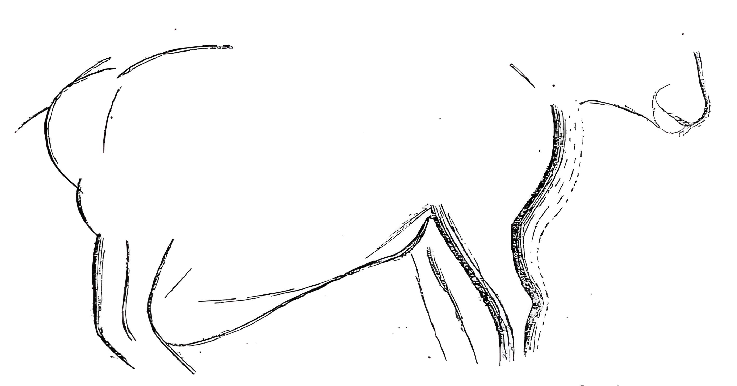 Grotte du château de Comarque