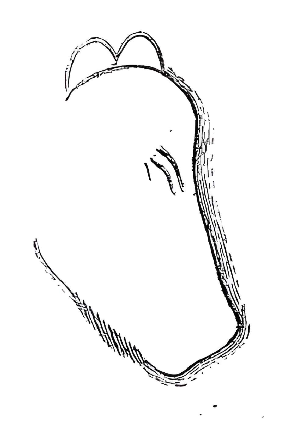 Grotte du château de Comarque