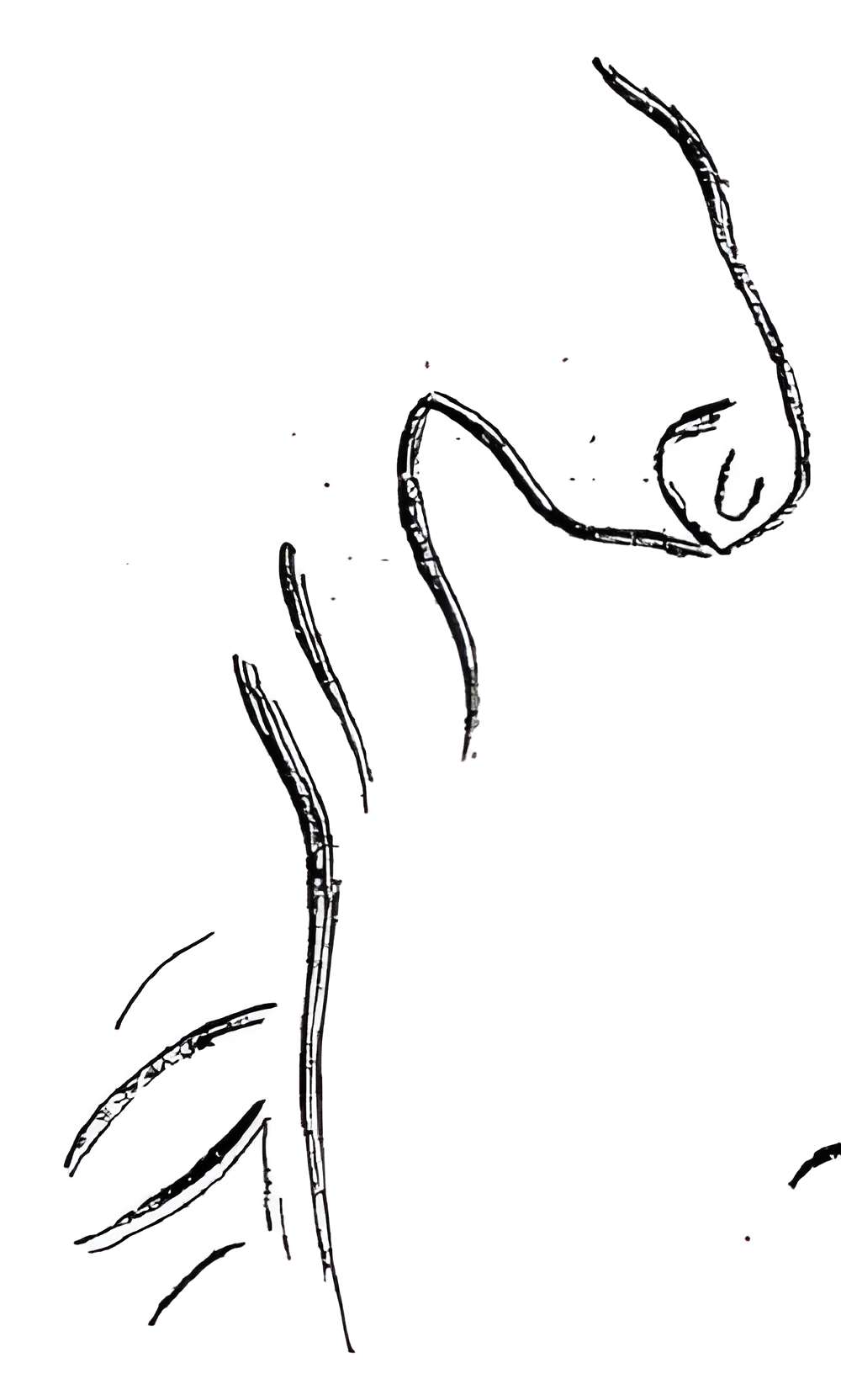 Grotte du château de Comarque