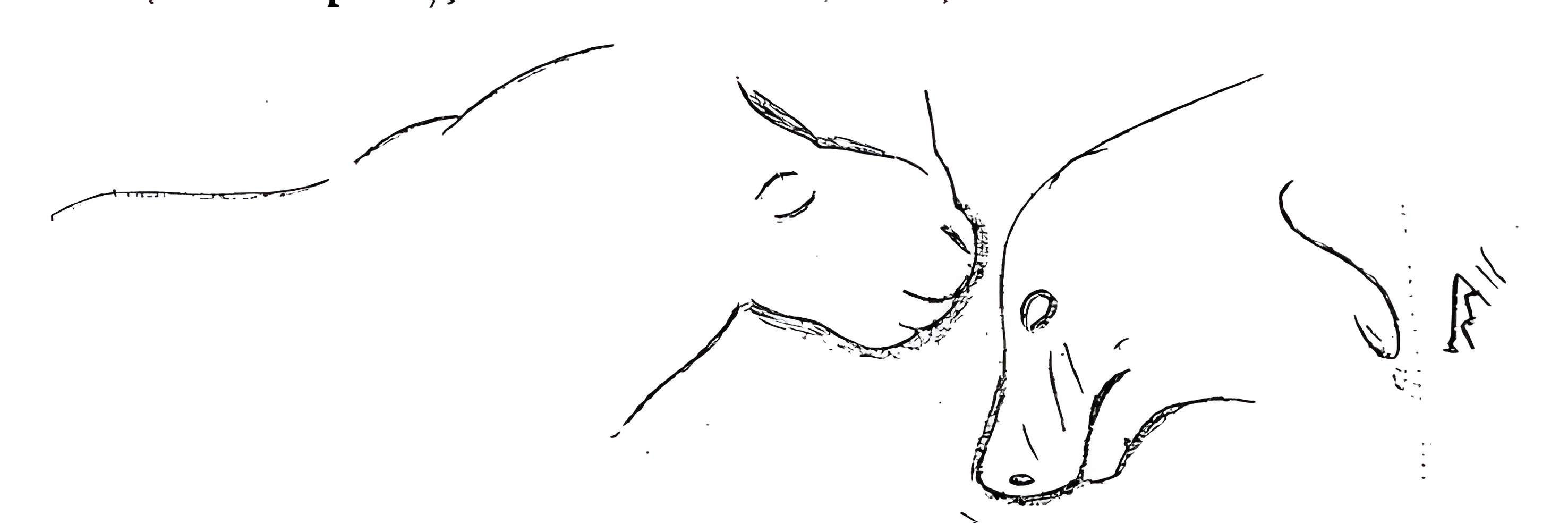 Grotte du château de Comarque