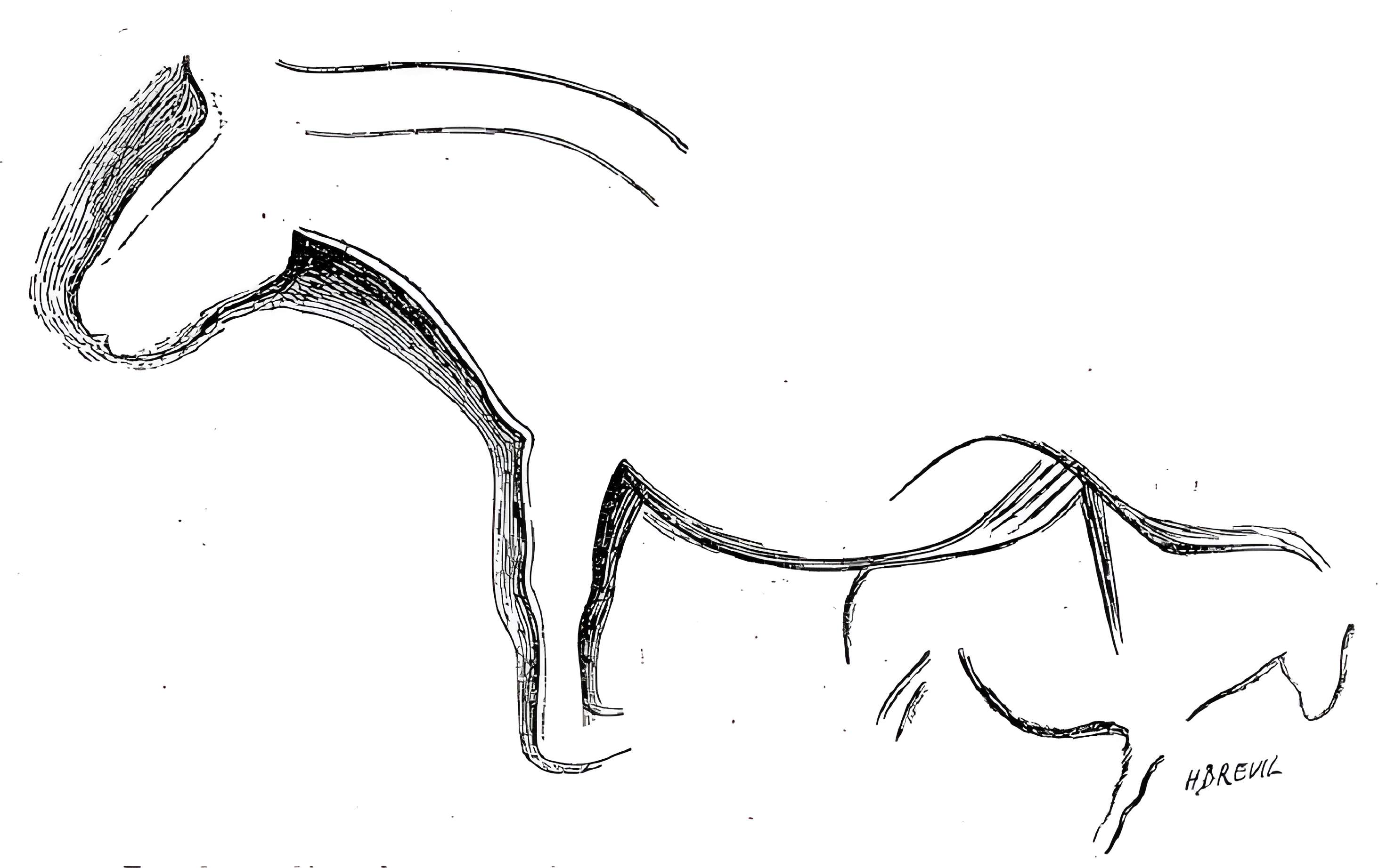 Grotte du château de Comarque