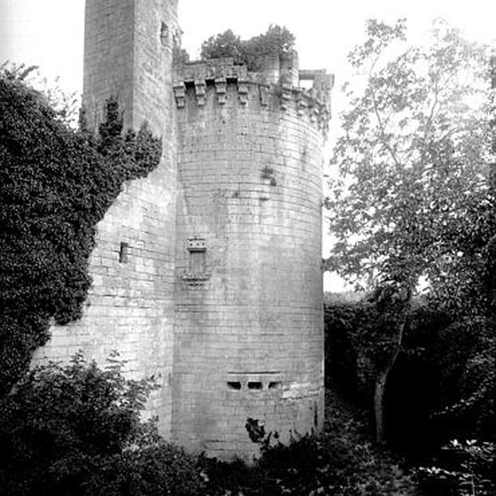 Photo de Château de Mareuil