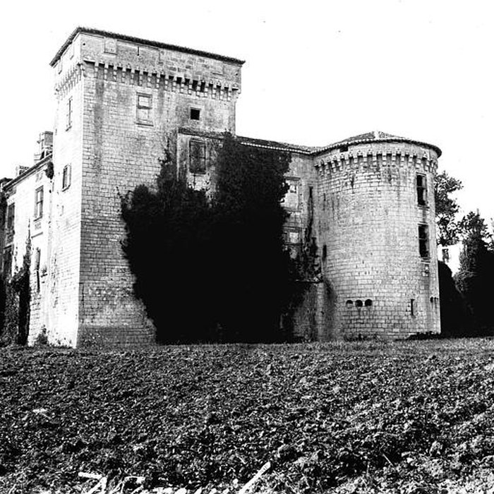 Photo de Château de Mareuil