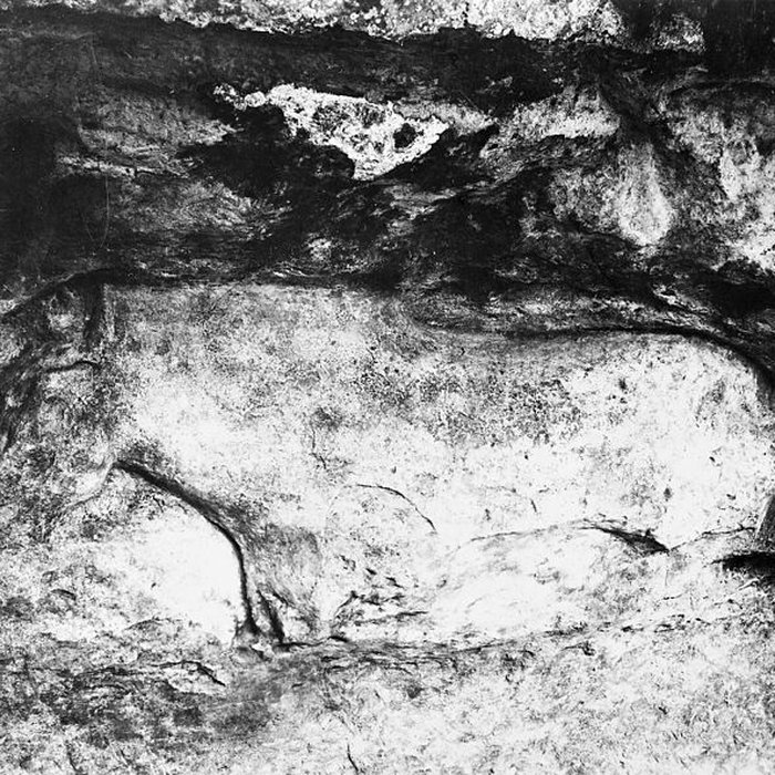 Photo de Abri du Cap-Blanc à Laussel