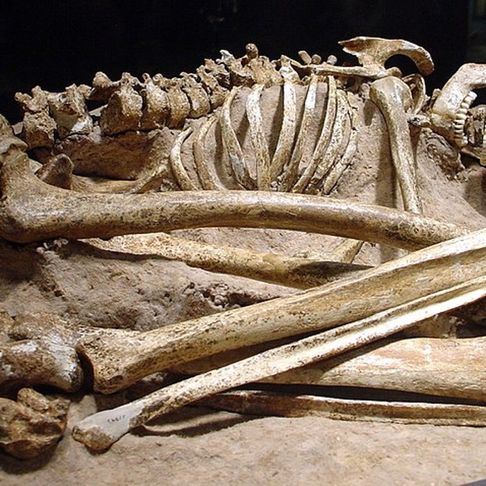 Photo de Abri du Cap-Blanc à Laussel