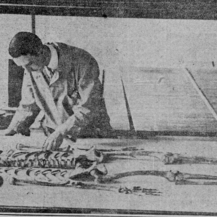 Photo de Abri du Cap-Blanc à Laussel