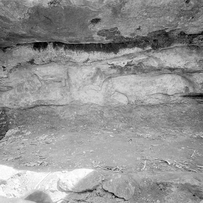 Photo de Abri du Cap-Blanc à Laussel