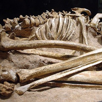 Abri du Cap-Blanc à Laussel