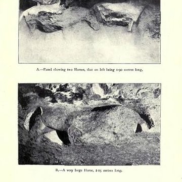 Abri du Cap-Blanc à Laussel