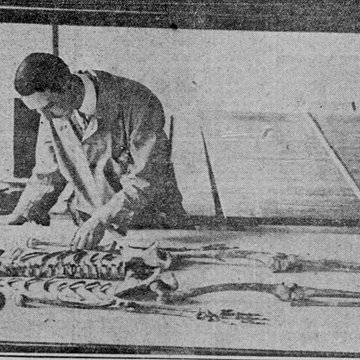 Abri du Cap-Blanc à Laussel