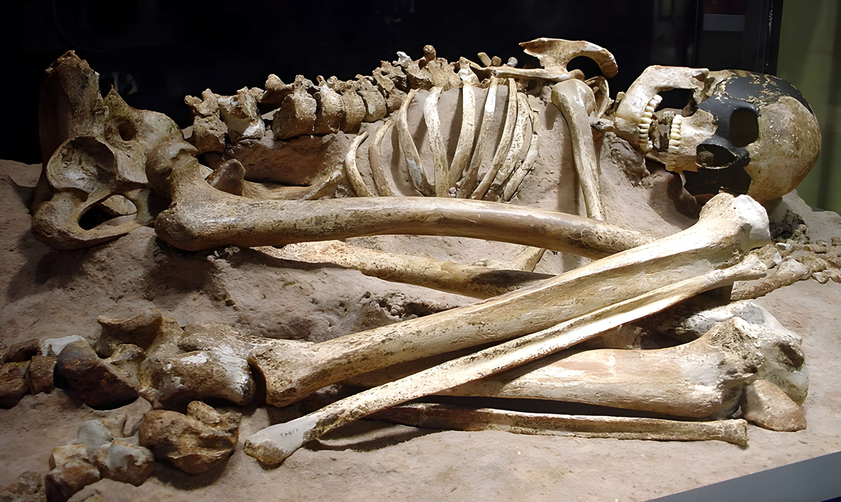 Abri du Cap-Blanc à Laussel