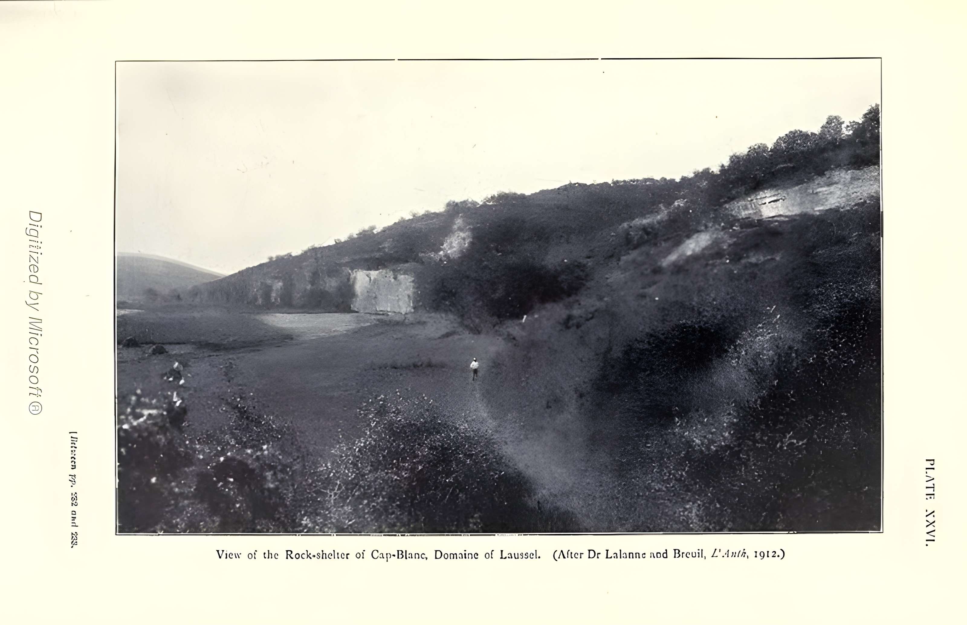 Abri du Cap-Blanc à Laussel