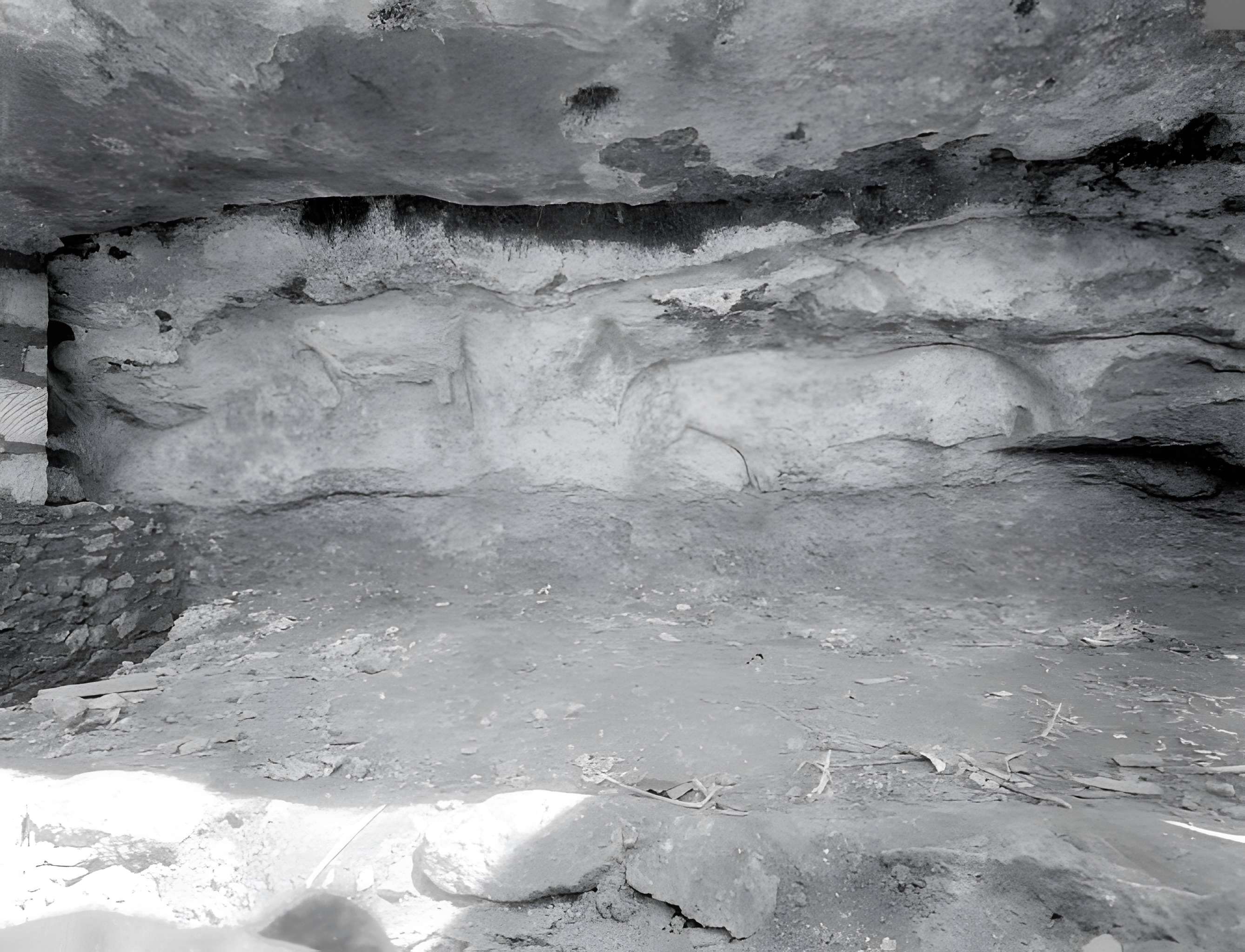 Abri du Cap-Blanc à Laussel