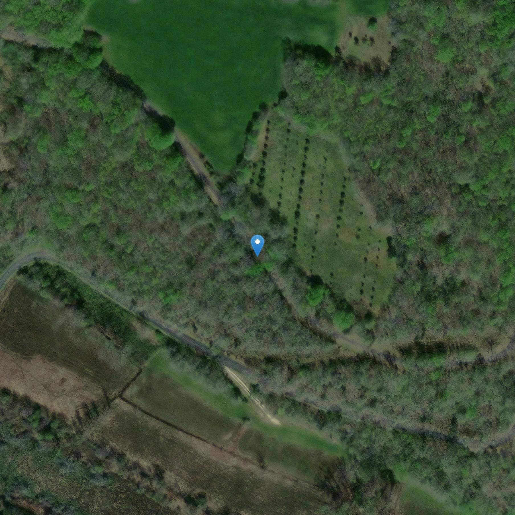 Photo de Grotte préhistorique de la Grèze