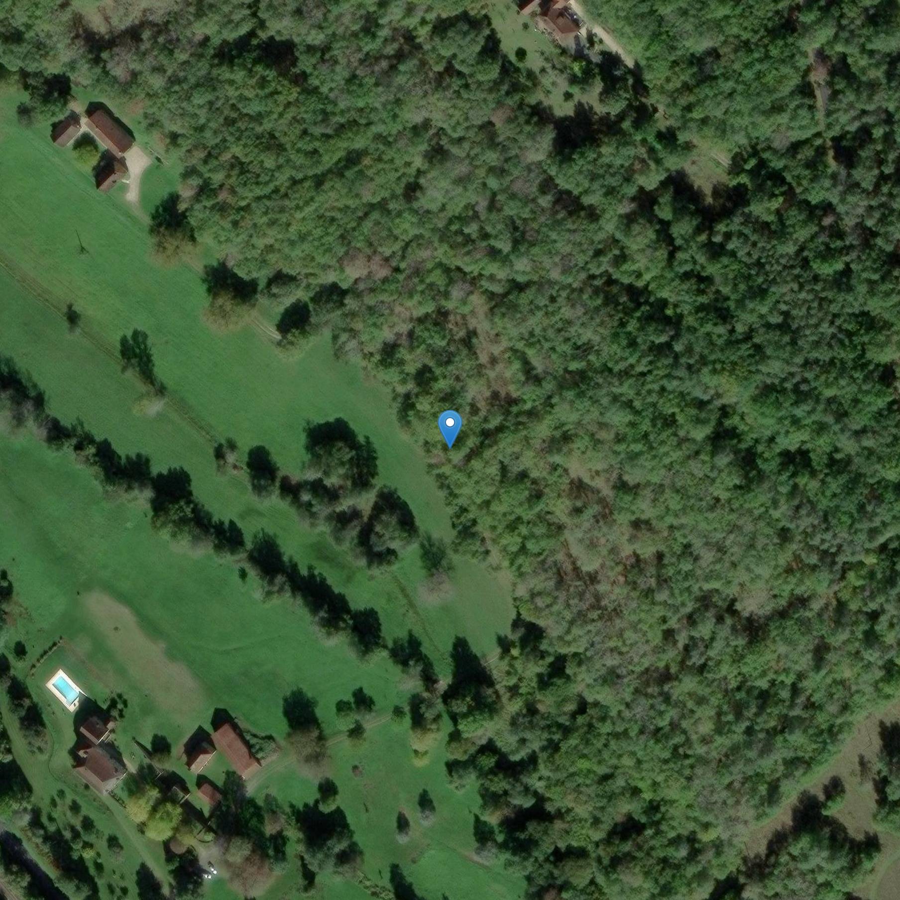 Photo de ファウレリーの先史的存在