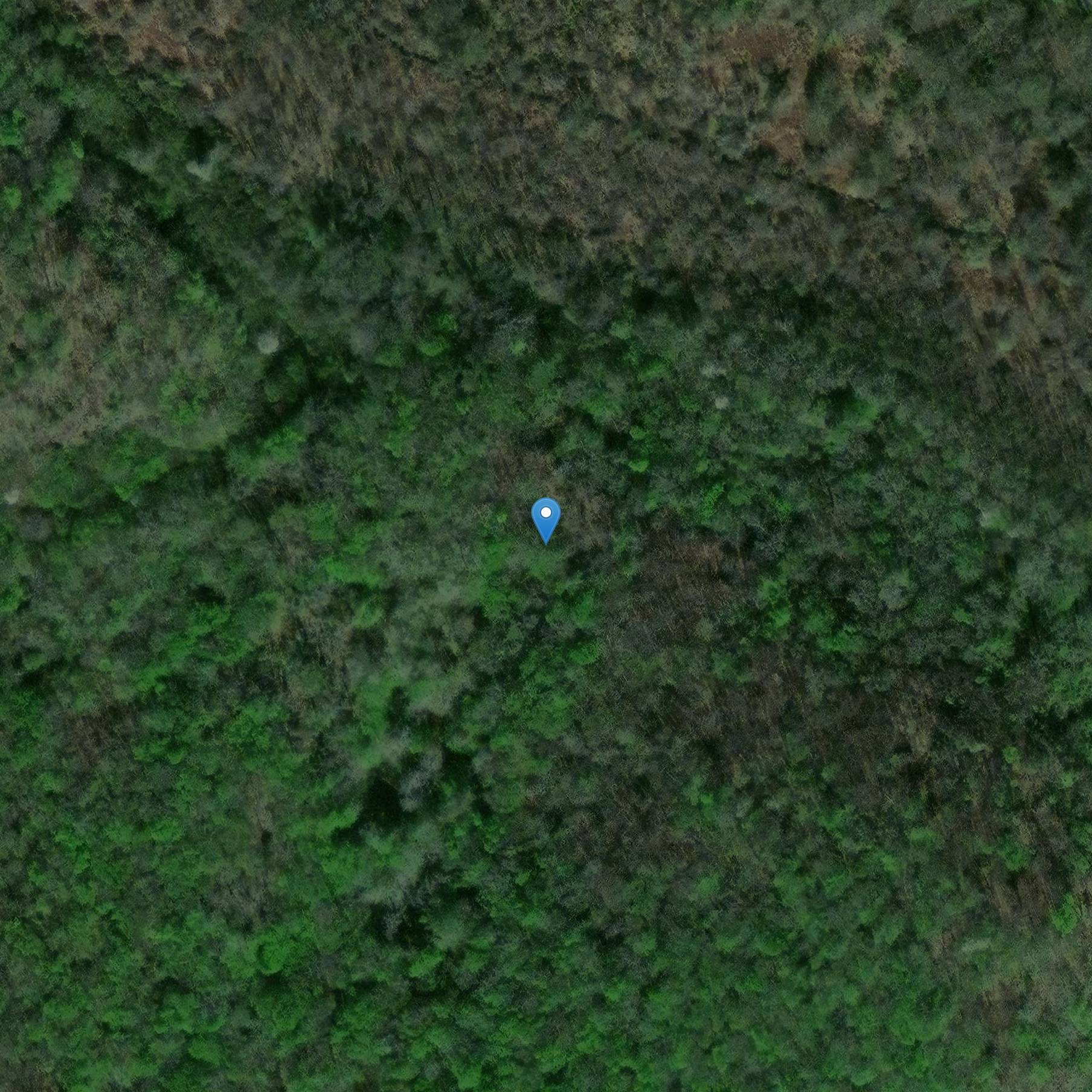 Photo de Grotte préhistorique du Bison