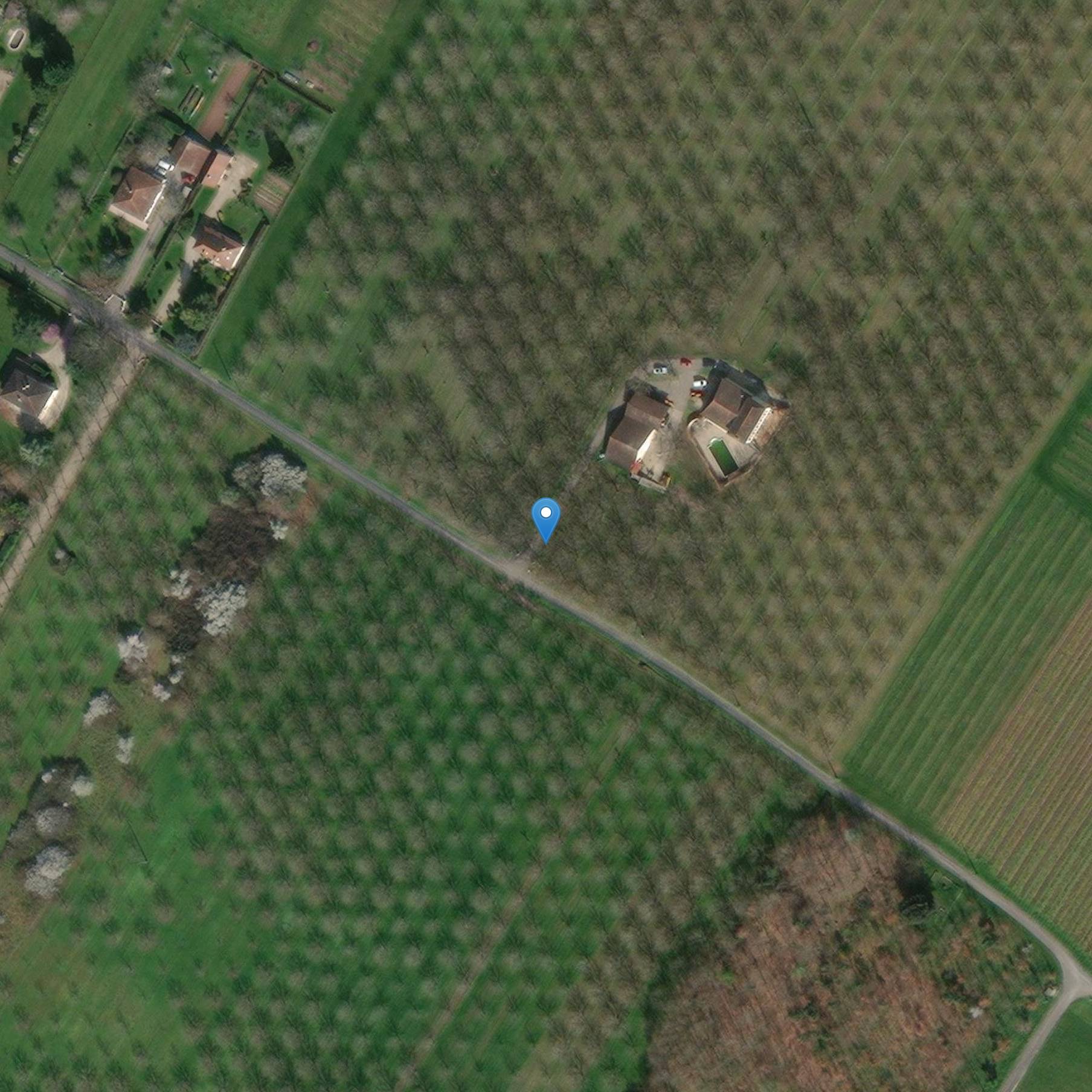 Photo de 五ガロマンモザイク