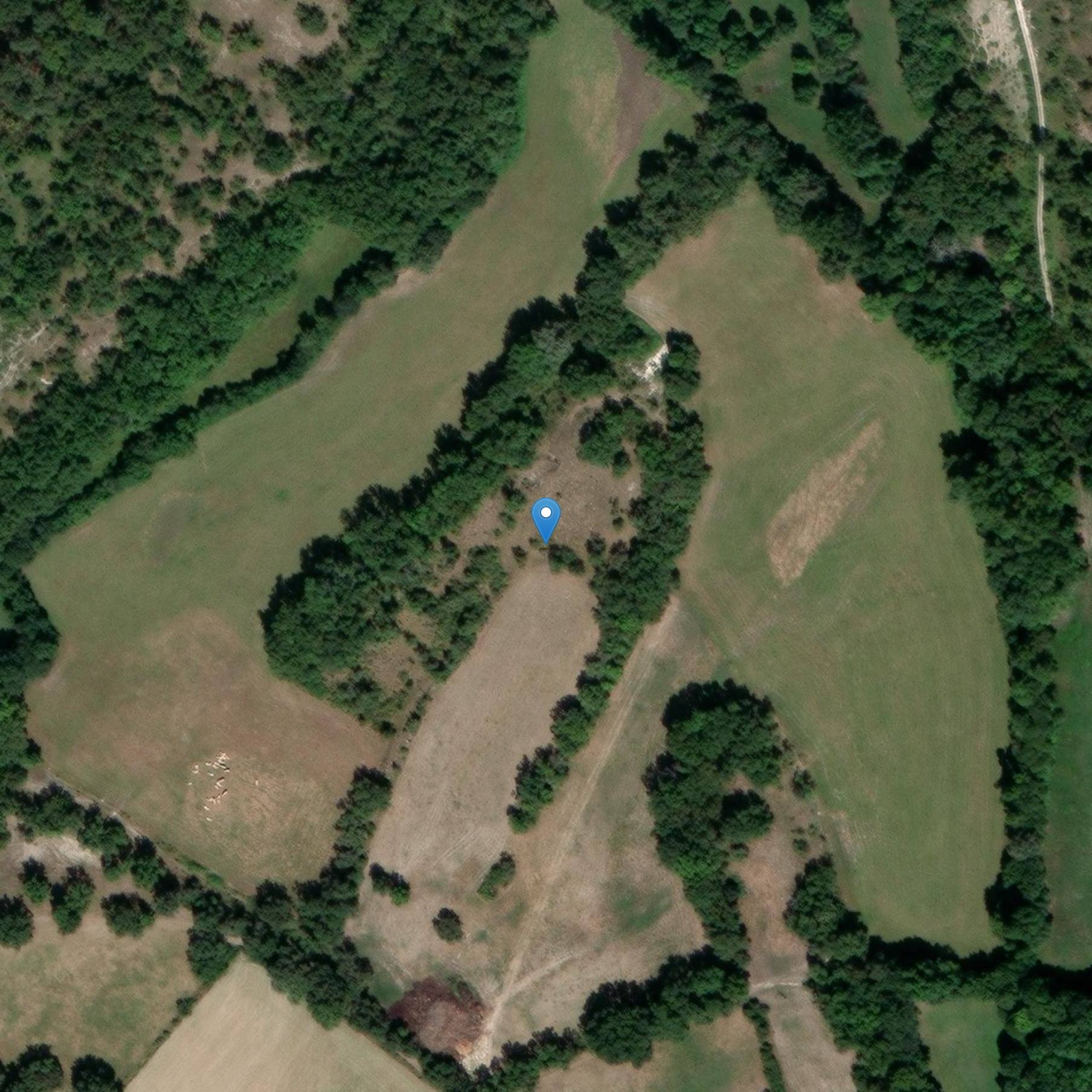 Photo de Dolmen dit La Peyrelevade cerca de Beaumont