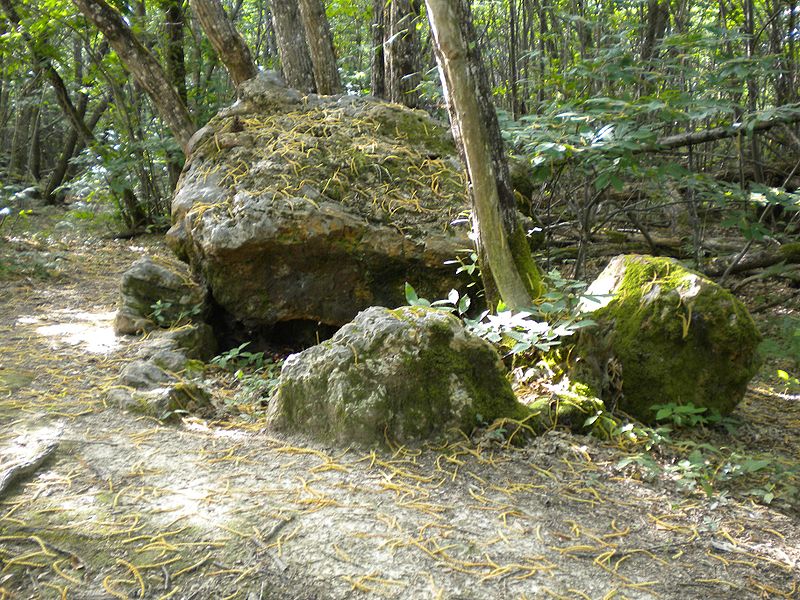 Photo de Dolmen de Peyrebrune