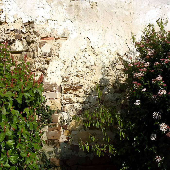 Photo de Église Saint-Martin de Moustey