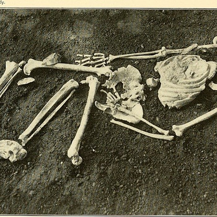 Photo de Gisement préhistorique