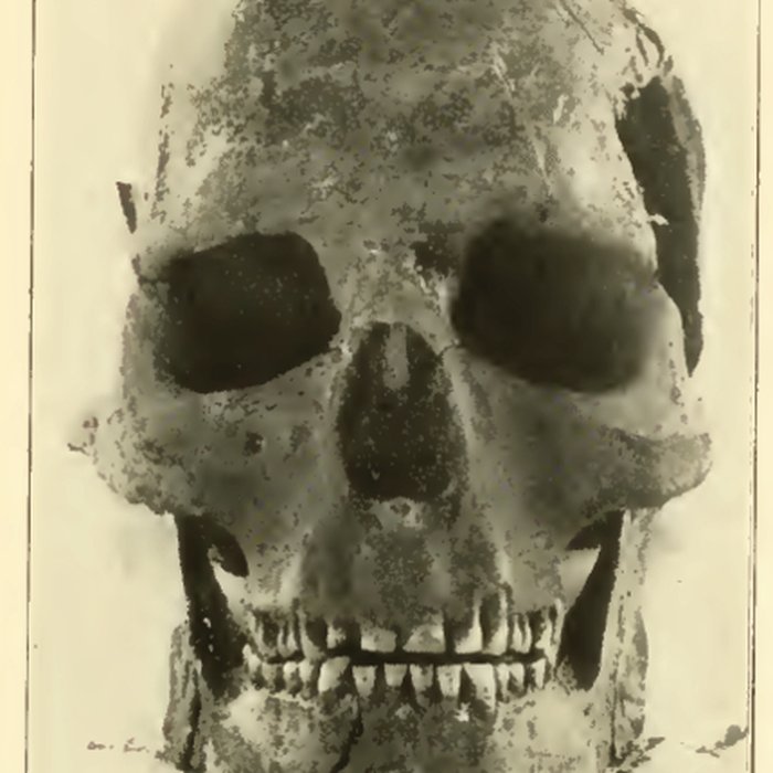 Photo de Gisement préhistorique