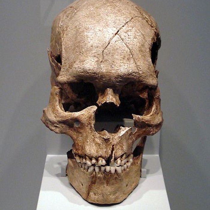 Photo de Gisement préhistorique