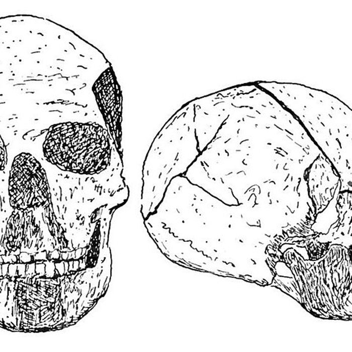 Photo de Gisement préhistorique