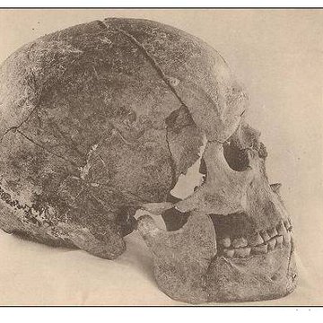 Gisement préhistorique