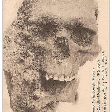 Gisement préhistorique