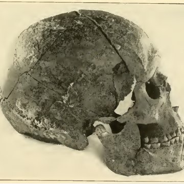 Gisement préhistorique