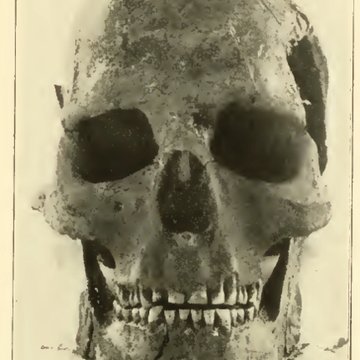 Gisement préhistorique