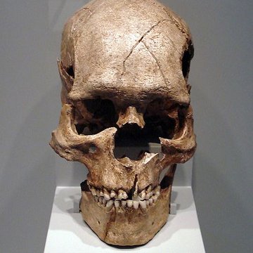 Gisement préhistorique