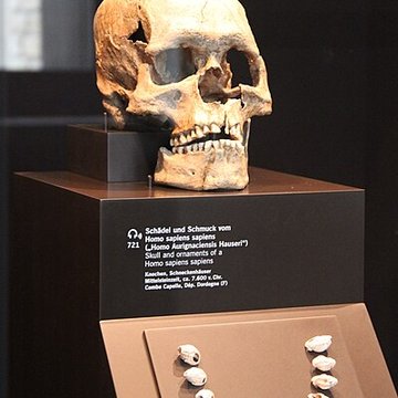 Gisement préhistorique