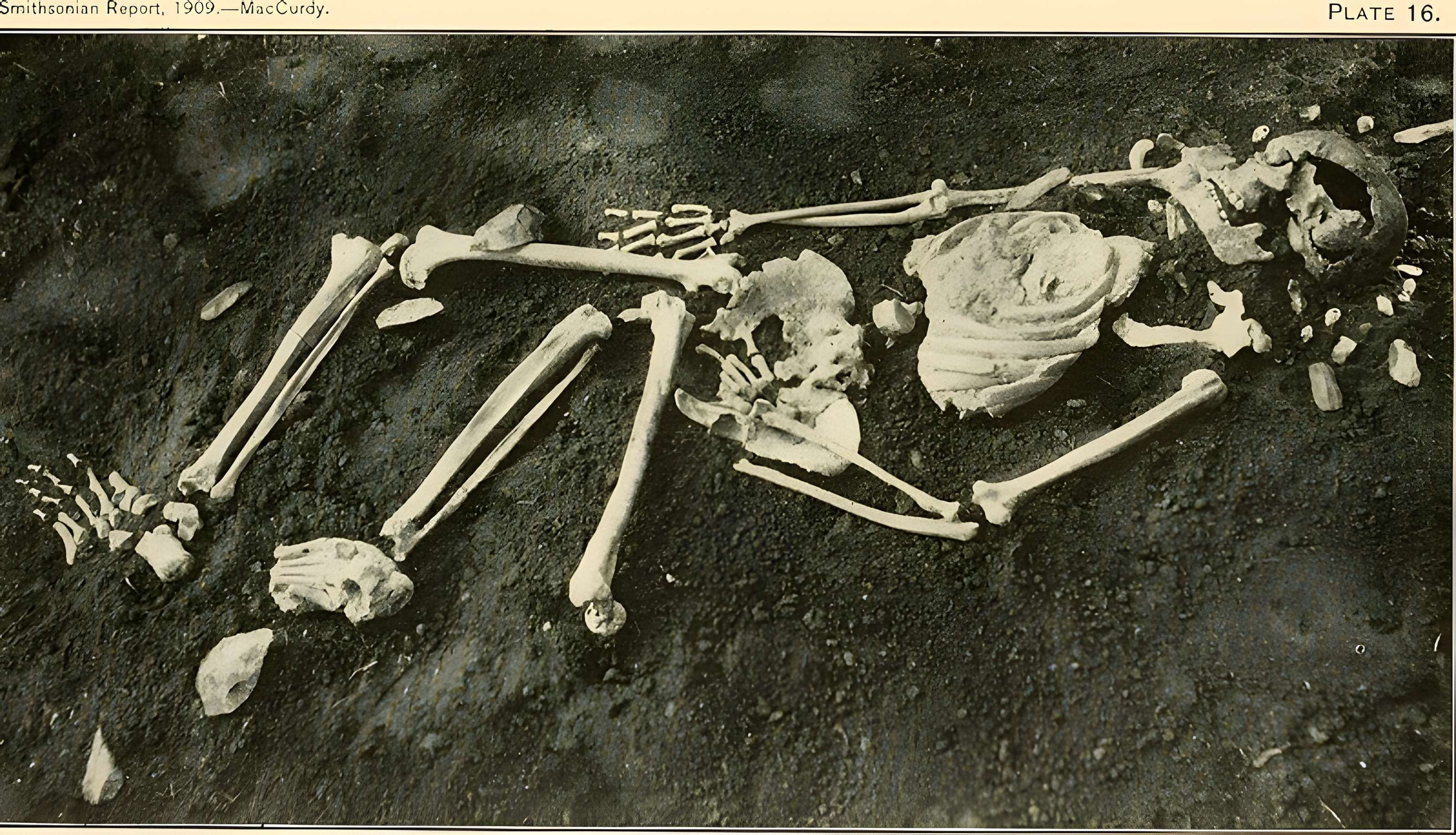 Gisement préhistorique