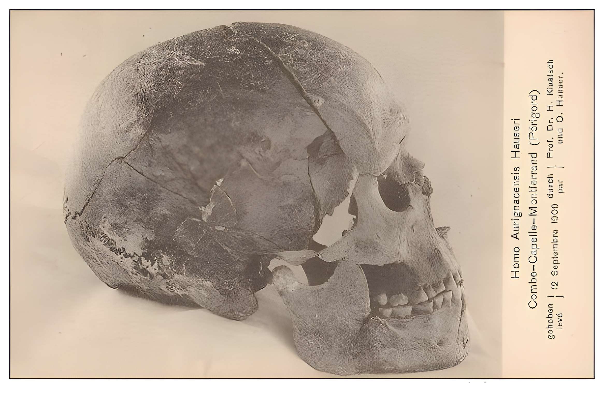 Gisement préhistorique