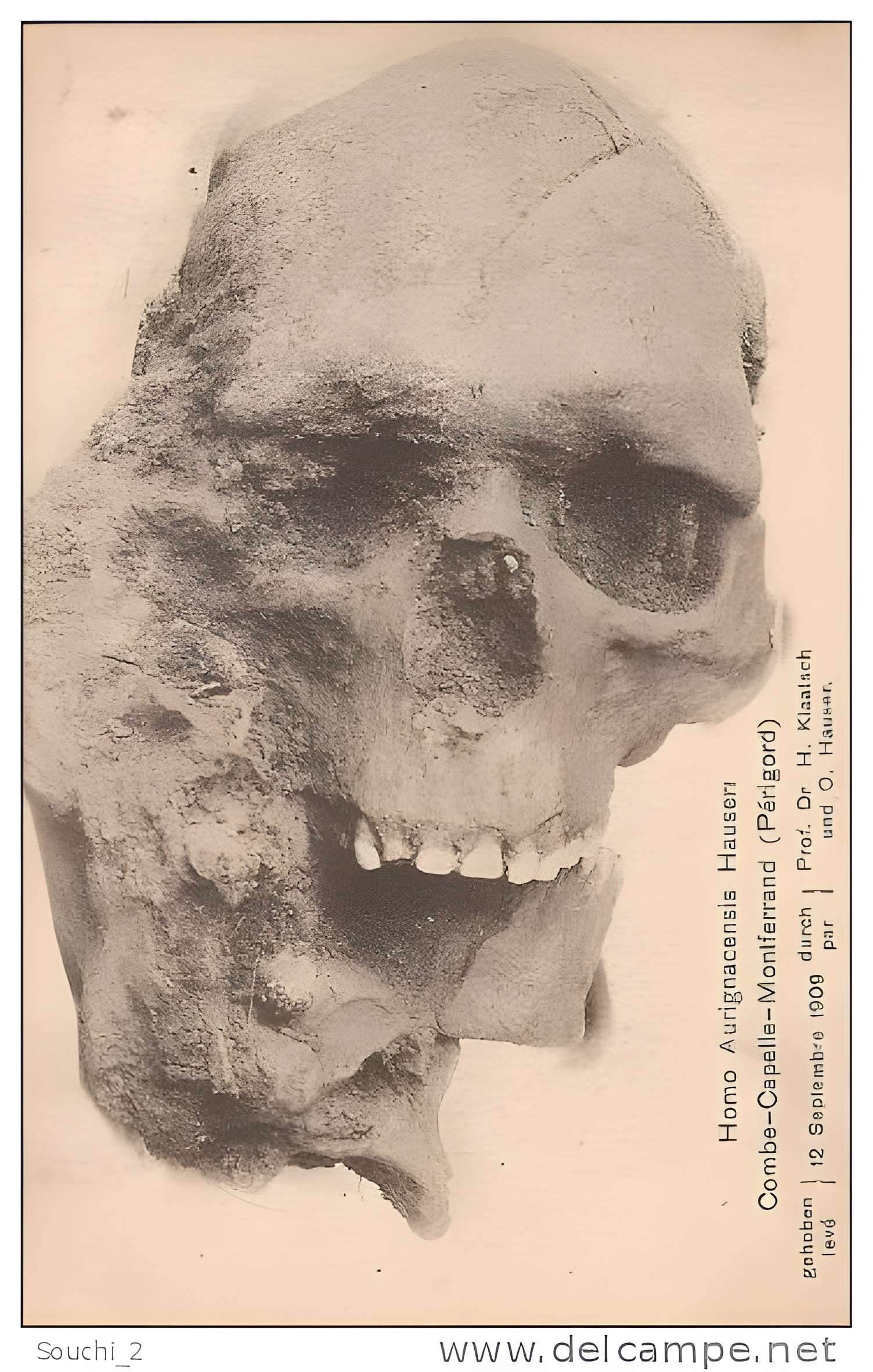 Gisement préhistorique