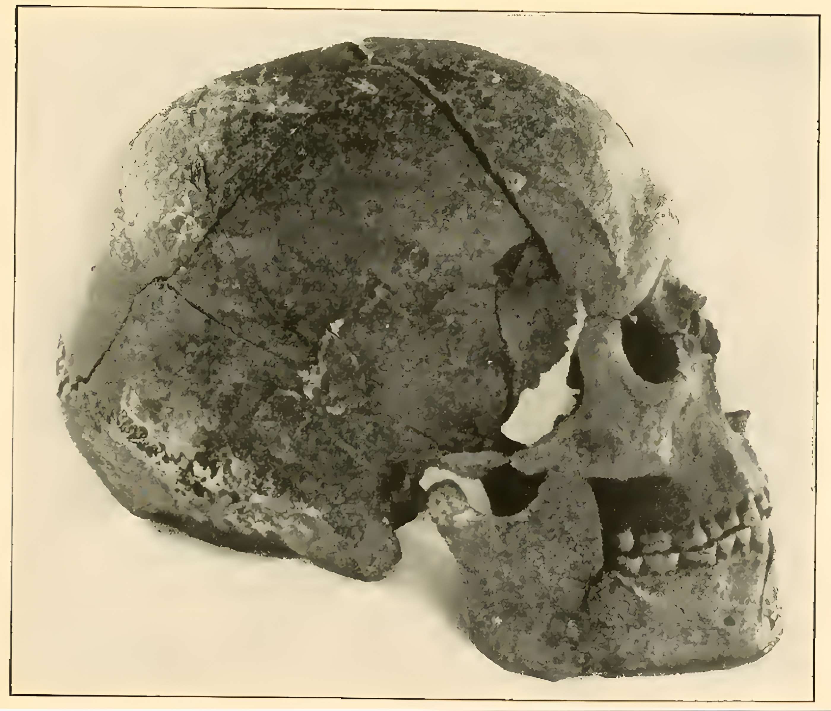 Gisement préhistorique