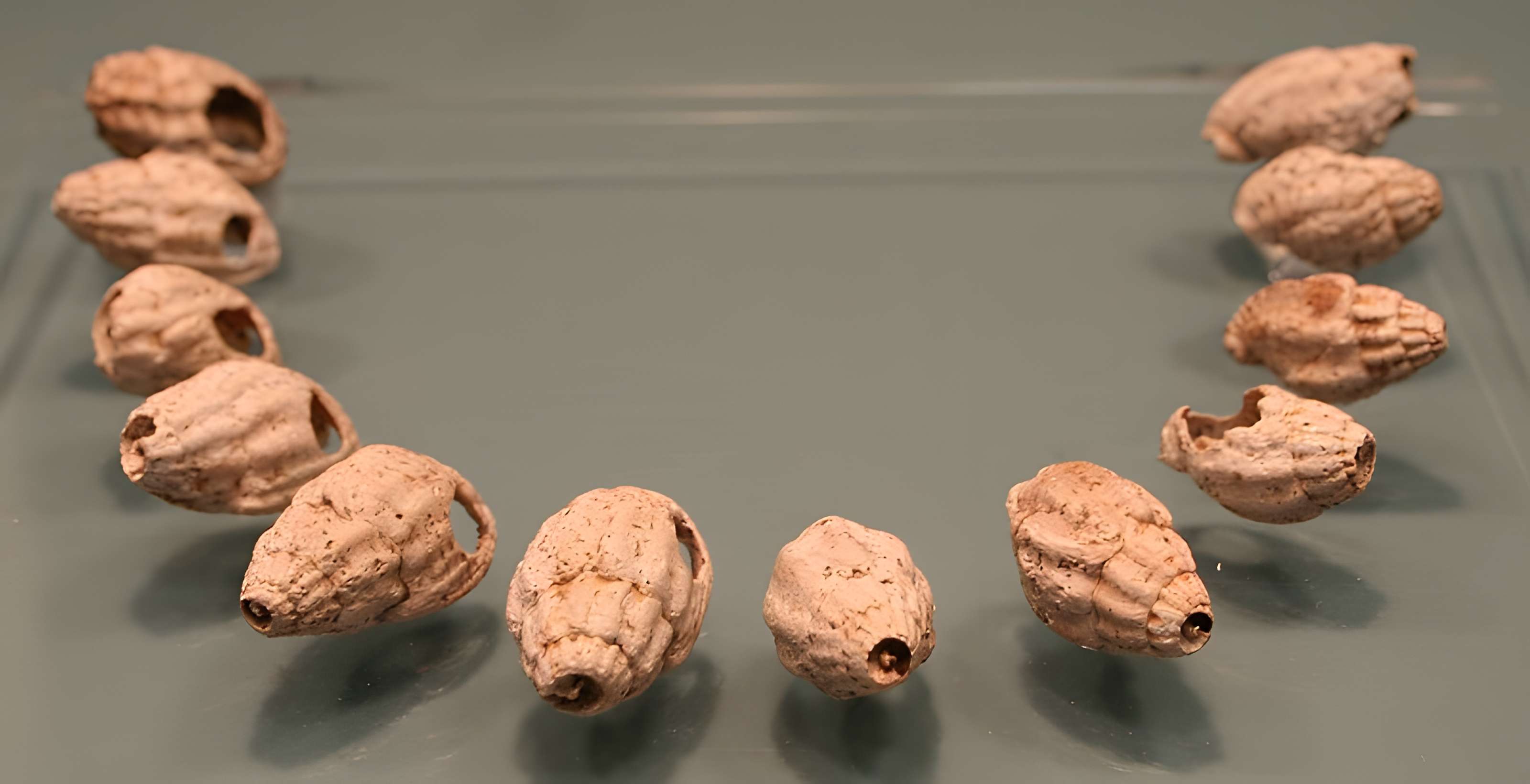 Gisement préhistorique