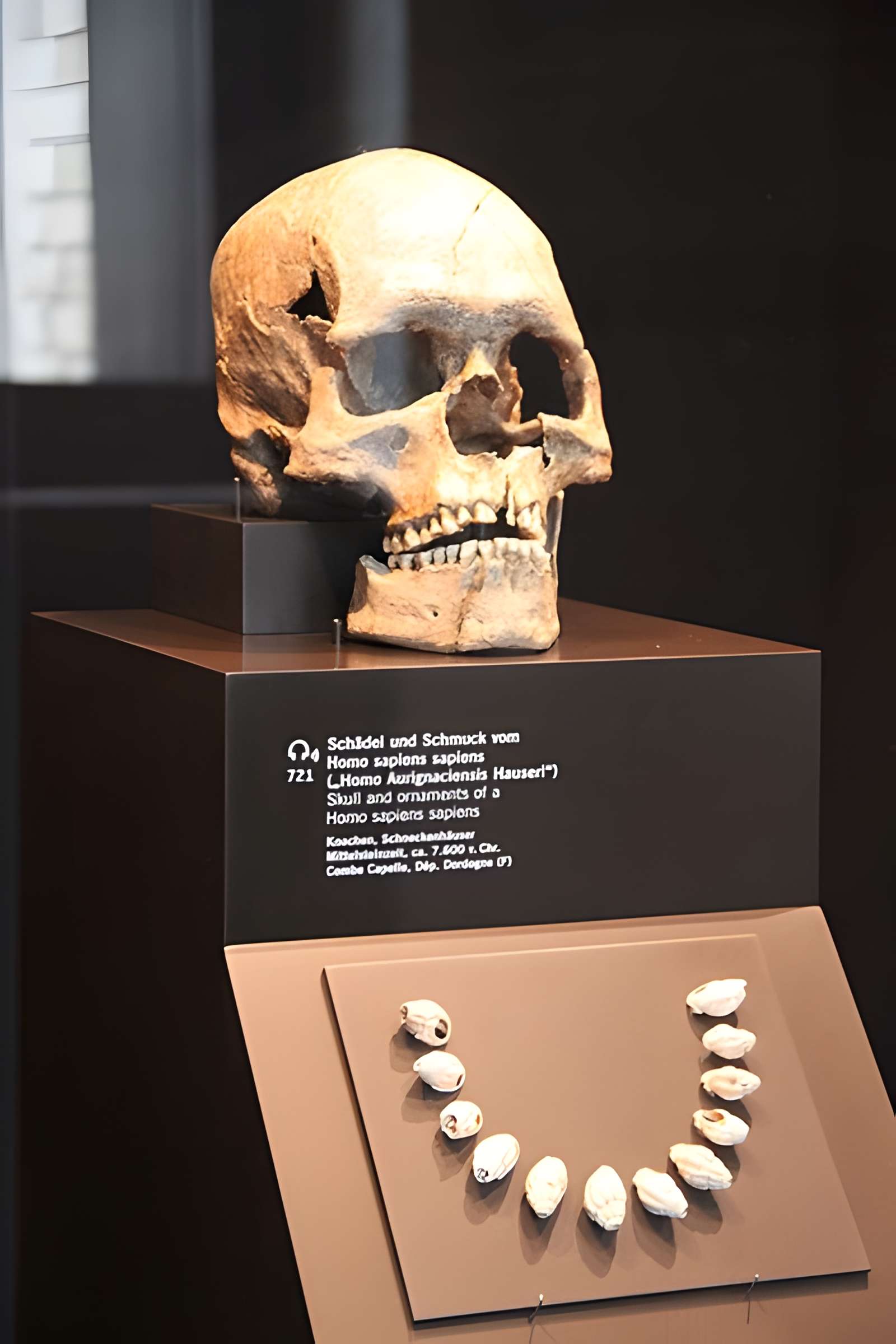 Gisement préhistorique