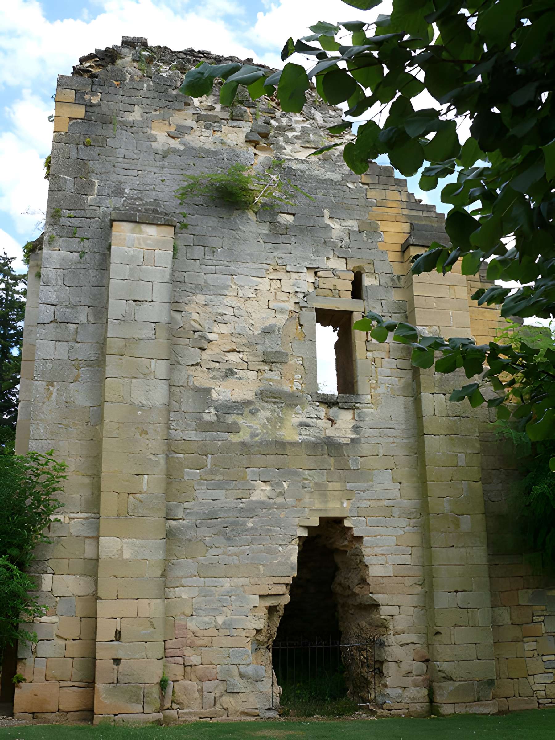 Ruines de l'ancien château