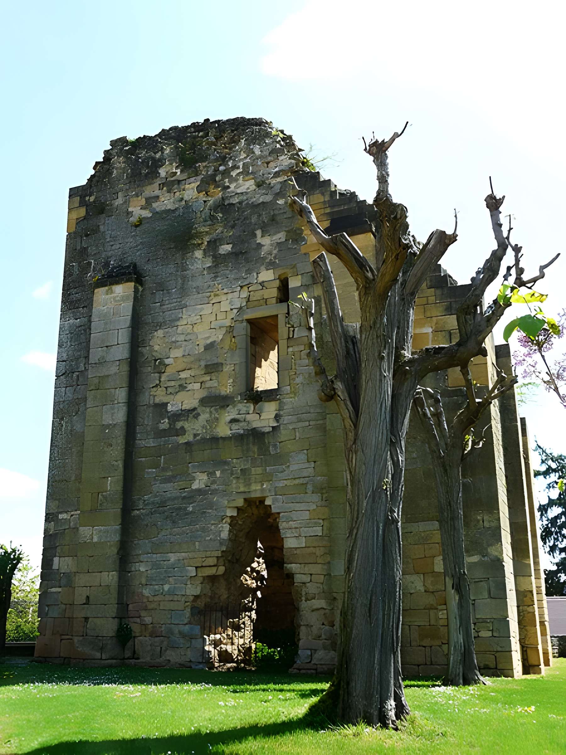 Ruines de l'ancien château