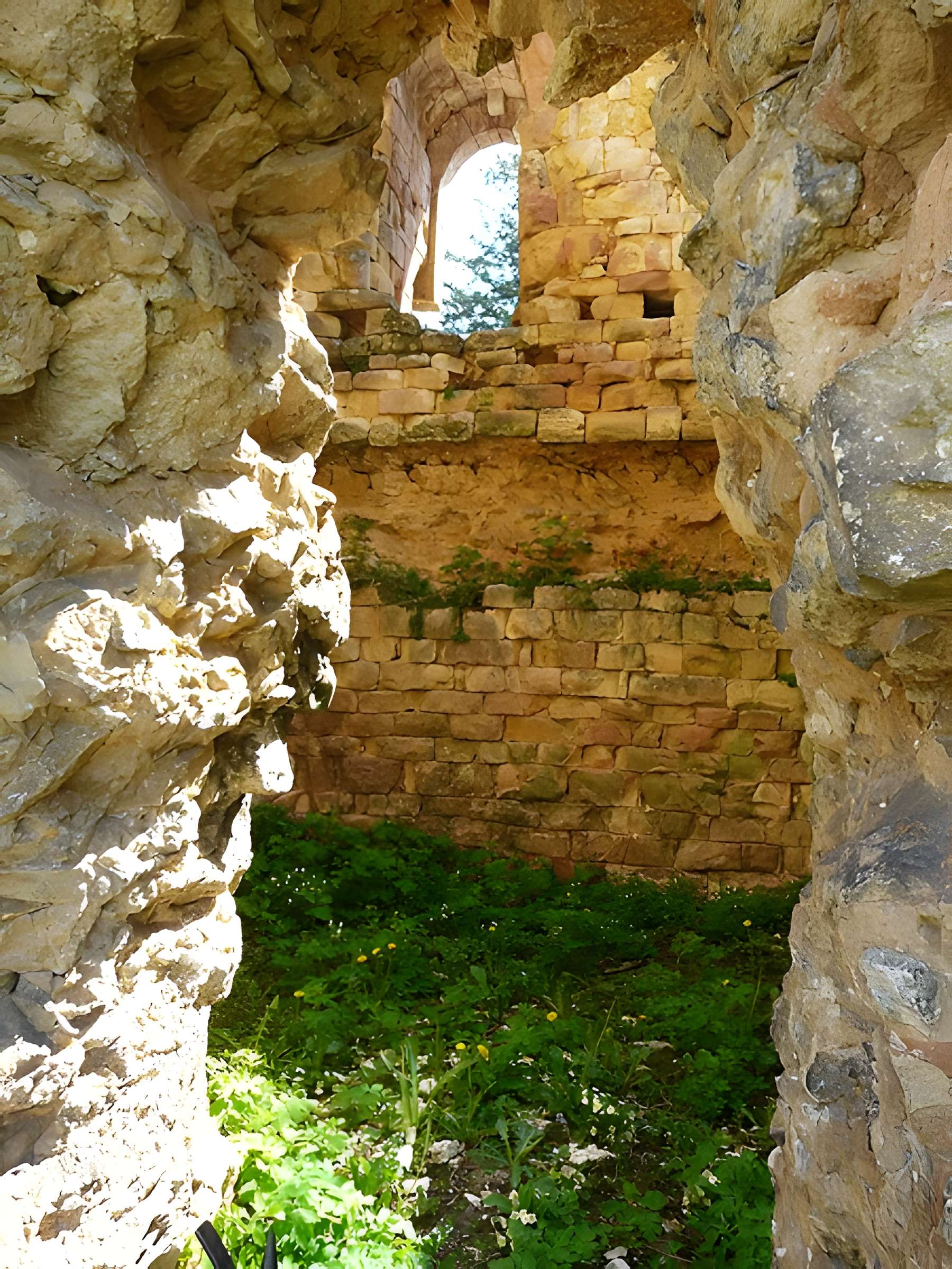 Ruines de l'ancien château