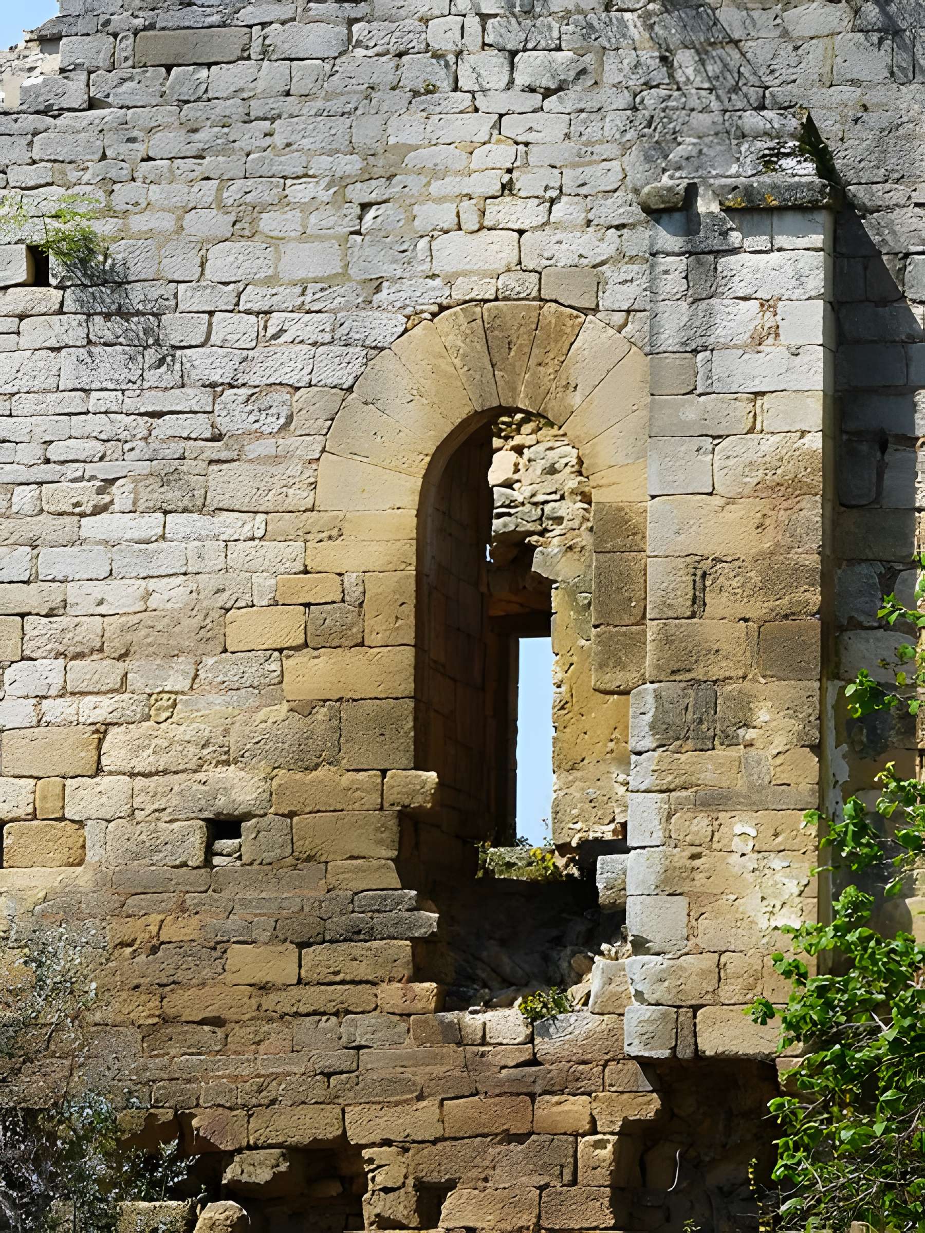 Ruines de l'ancien château