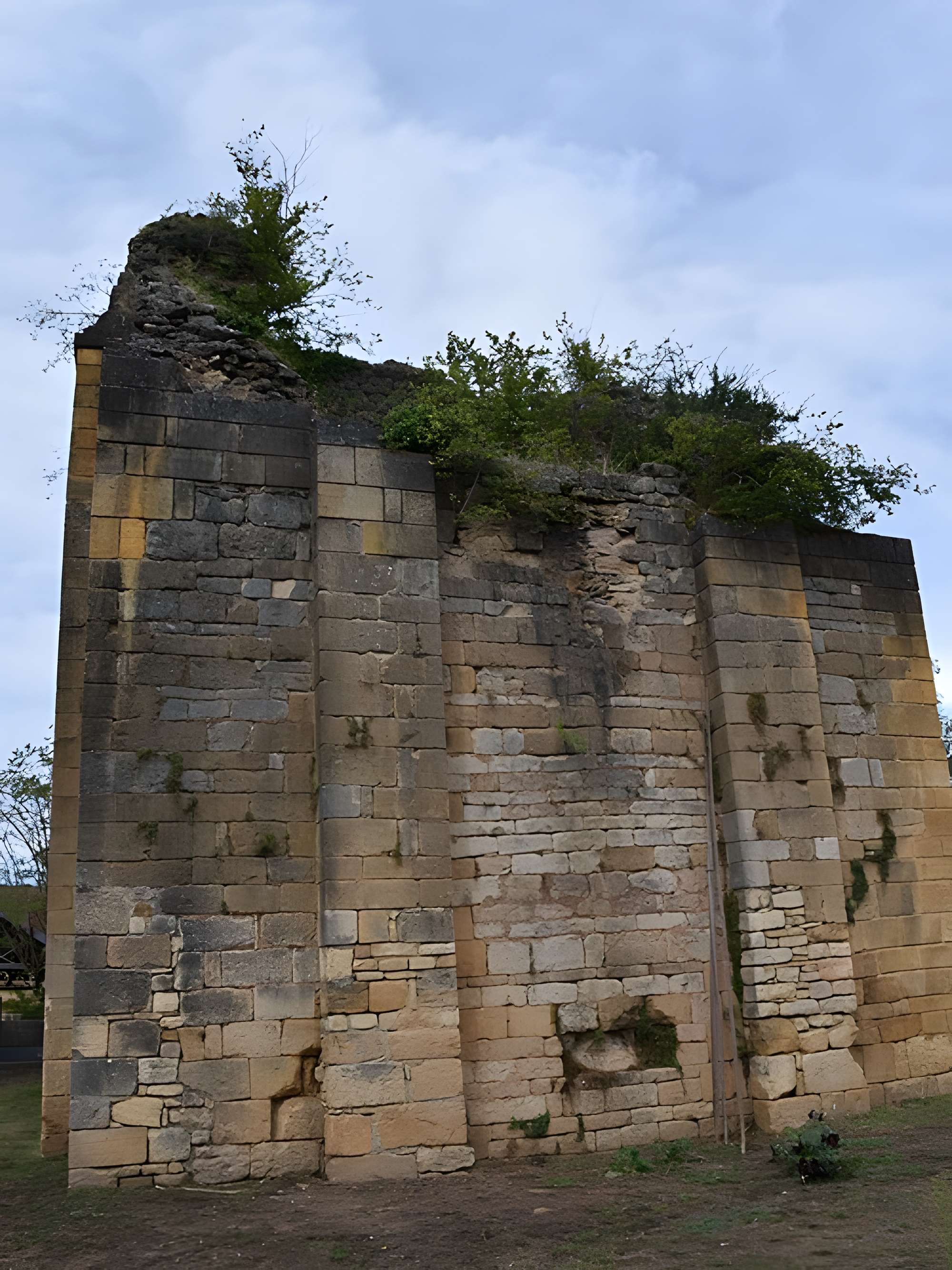 Ruines de l'ancien château
