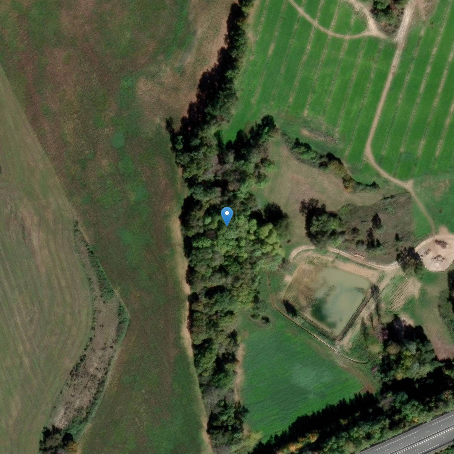 Photo de Peyrat 洞窟 サイト