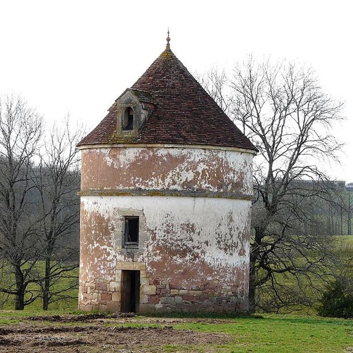 Photo de Abbaye de Dalon