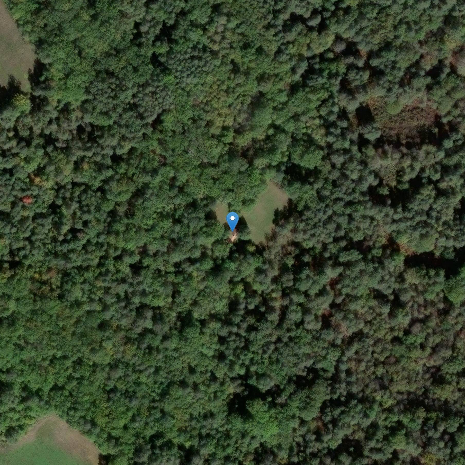 Photo de Grotta preistorica di Combe Saunière