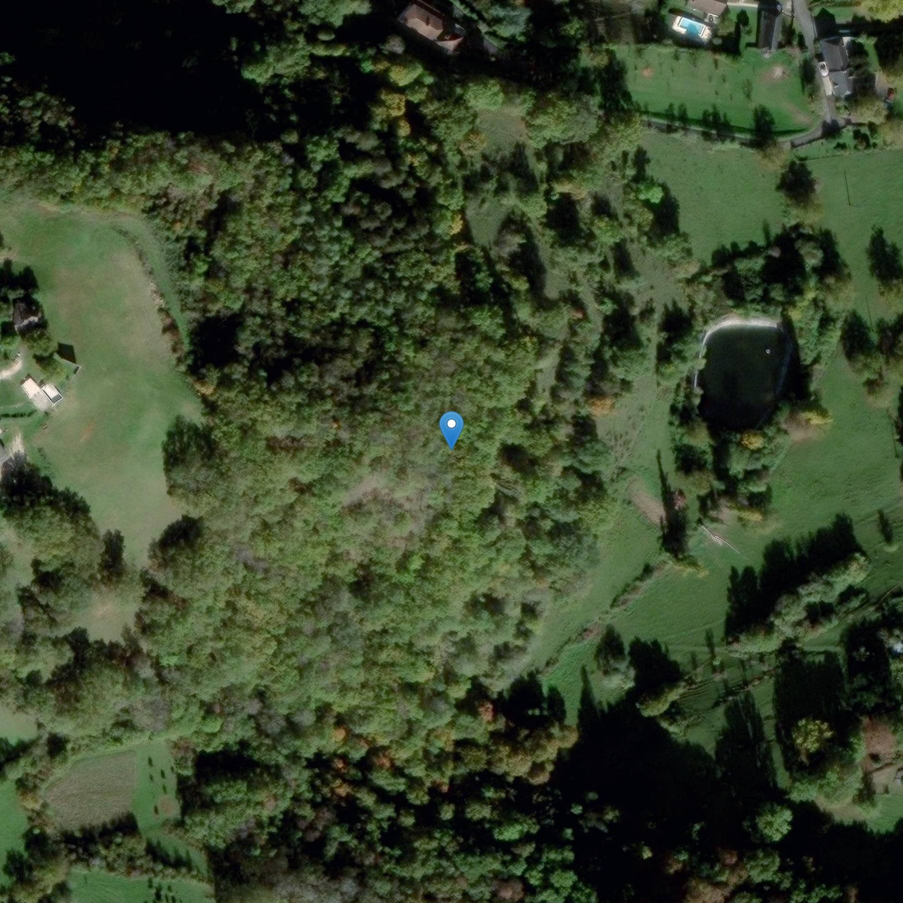 Photo de Prehistoric cave of Saint-Sours or Lachaud