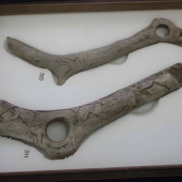 Photo de Gisement préhistorique de la Madeleine